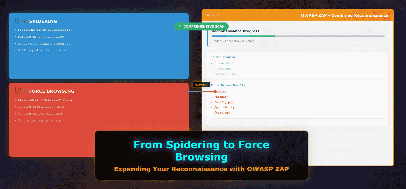 mt-sample-background owasp-force-browse